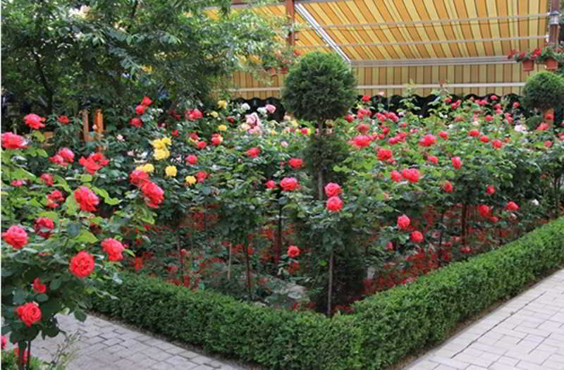 Marshal Hotel Bukarest Kültér fotó